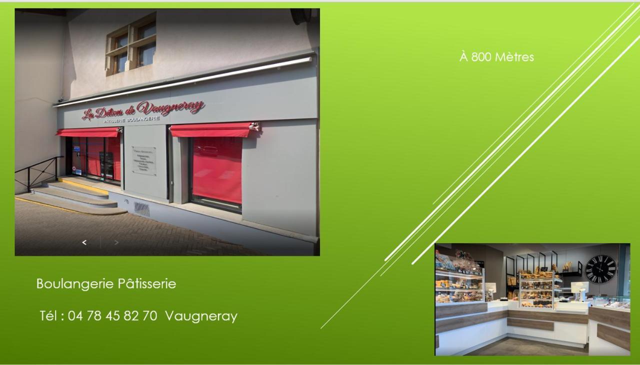 Bel Appartement T2 40 M² Vaugneray Kültér fotó
